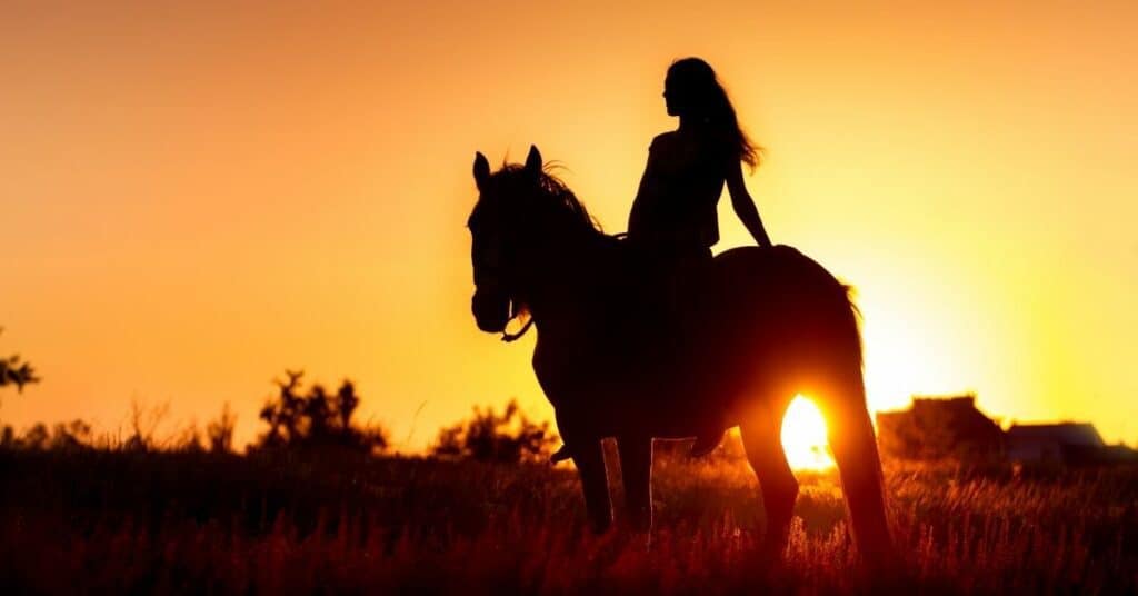 Häst i soluppgång