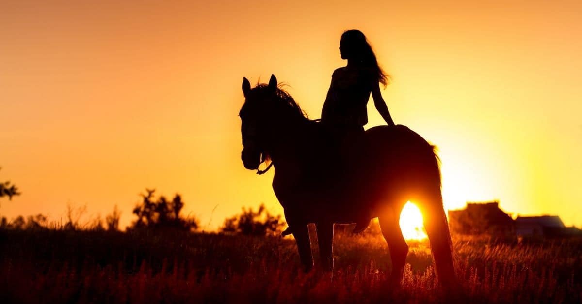 Häst i soluppgång
